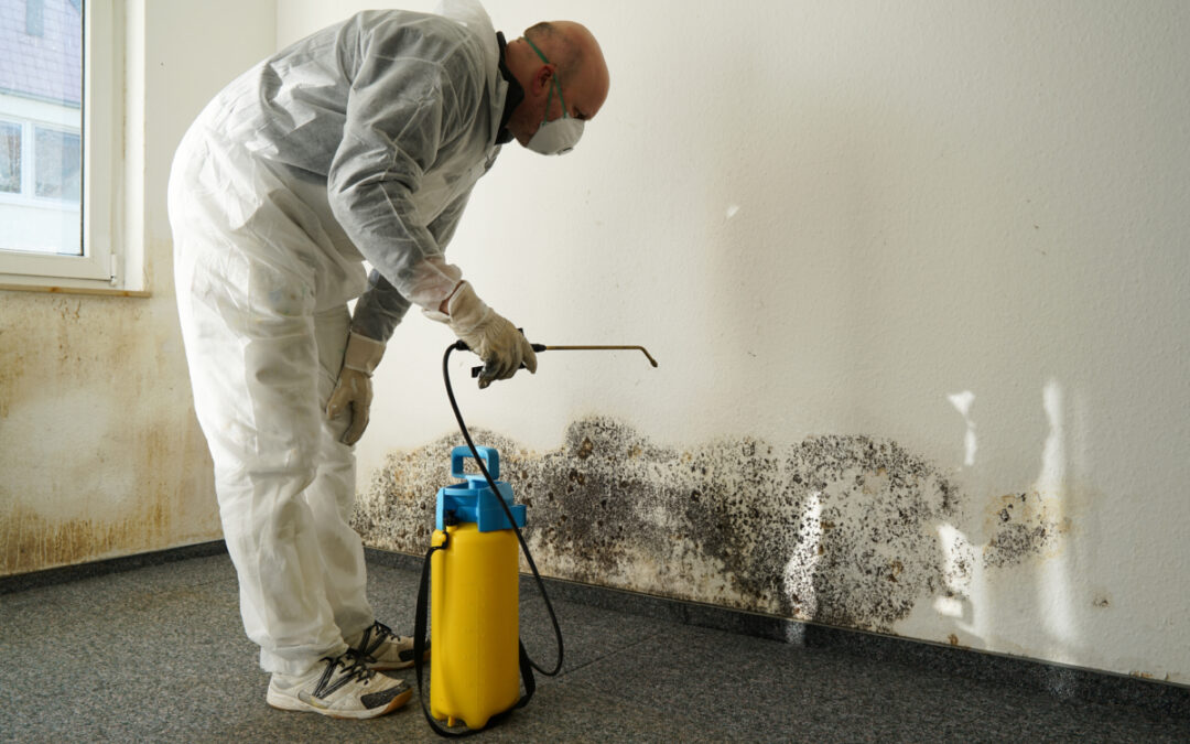 7 Signs Of Mold In House - 411 Mold Expert